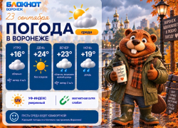 “Да и на небе тучи”:прогноз погоды в Воронеже 