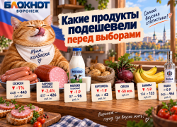 Какие продукты подешевели перед выборами, показал отчет Воронежстата 