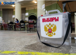 Депутаты утвердили новую схему одномандатных избирательных округов Воронежа