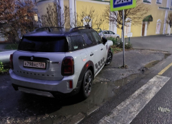 Безумная парковка потрясла воронежцев