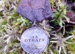 Обнаружена медаль воронежца, который сражался за свободу Эстонии от нацизма