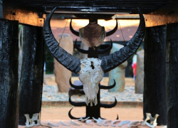 В Воронежской области изменились правила охоты