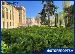 Позеленевший Воронеж после зимнего апокалипсиса попал в объектив фотографа