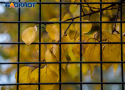 Труп участкового с огнестрельным ранением нашли в отделе воронежской полиции