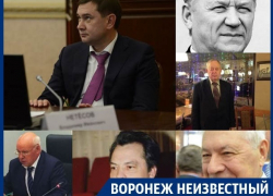 Кто за 25 лет рулил Воронежской областной Думой
