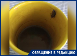 Пациент воронежской БСМП пожаловался на чай с тараканами 