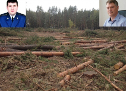 Жители Подгорного в Воронеже попросили прокурора Рамонского района повлиять на Виктора Логвинова 
