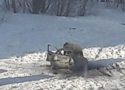 В Воронеже ночью у "Алых парусов" сгорела Lada Priora