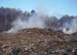 На мусорке в Нововоронеже нашли тело мертвого младенца