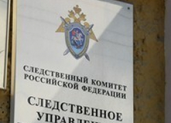 Житель Воронежской области убил товарища за оскорбление его жены 