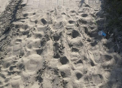 Песок в сандалии: тротуар в Воронеже превратился в пляж