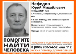 Воронежские волонтеры объявили поиски 73-летнего пенсионера, пропавшего без вести на Пасху