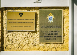Рецидивист из Воронежской области забил до смерти пенсионера, который пришел к нему в гости