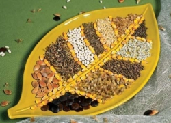 В Воронежской области семеноводческую станцию за копейки выкупил ее директор