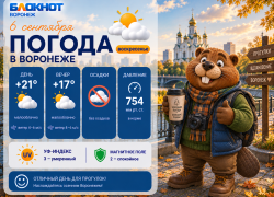 С +21 до +10 за 72 часа: погодные перепады ожидаются в Воронеже