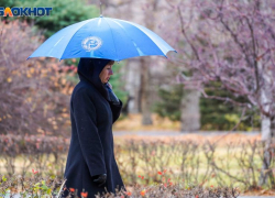 Стало известно, какая будет погода на Международный женский день в Воронеже