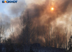 Чрезвычайный класс пожарной опасности объявили в Воронежской области