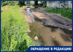 Жидкие фекалии преграждают путь к воронежской школе 