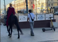 Загадочного принца на коне заметили в центре Воронежа
