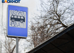 «Вижу»: мэр Петрин прокомментировал проблемы воронежцев из «Лесной Поляны» 