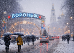 Морозный январский триптих: что ждёт воронежцев на неделе