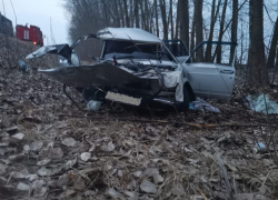 Пенсионер устроил смертельное ДТП с деревом на трассе М-4 «Дон»