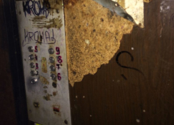 На воронежской земле низким уровнем конкуренции отличаются все сегменты рынка ЖКХ