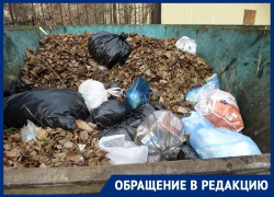 За чужой мусор воронежцы вынуждены платить в два раза больше