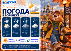 На пару градусов теплее: прогноз погоды в Воронеже