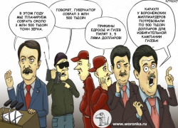 На мультяшном сайте штаба Александра Гусева объяснили, откуда появилась информация о «клубе миллиардеров» и 500 тысячах долларов