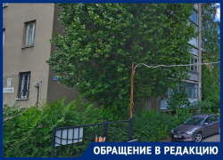 «Ни губернатор, ни прокуратура, ни УК, ни ГЖИ – никто не может нам помочь»: воронежский инвалид о фекальной запруде 