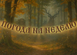 Осень с характером: как испортится погода в Воронеже на этой неделе