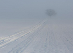 Под Воронежем дедушка замерз насмерть в километре от дома