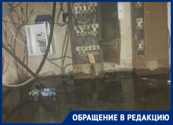 Щиток-поплавок: воронежец рассказал, как в подвале тонет электрощитовая, а проблему не устраняют