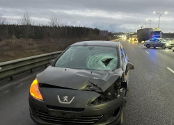 Неизвестного пешехода, перебегающего трассу, сбила иномарка в Воронеже