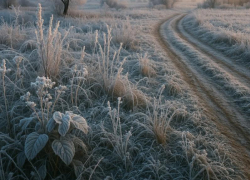 Когда в Воронеж придут заморозки, рассказал главный метеоролог региона 