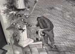 Куртка на голове и шары в руках: праздничный вандализм одолел Воронеж