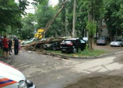 Ночная непогода в Воронеже завалила деревьями припаркованные авто