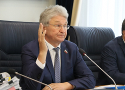 Опираясь на Конституцию, воронежец просит суд проверить, лжёт ли спикер гордумы Владимир Ходырев