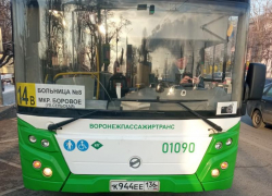 «Зажал дверью ногу и протащил женщину по асфальту»: пенсионерка получила травмы, проехавшись на воронежской маршрутке