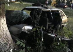 Пьяный водитель погубил пассажира в ДТП с деревом в Воронежской области