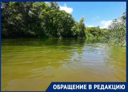 «Превращается в болото»: воронежцы пожаловались губернатору на резкое ухудшение состояния реки Хава 
