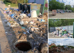 «Вонь на всю округу»: Воронеж продолжает изнывать под гнетом мусорного кризиса