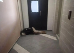 «Ходит по-большому»: незваный гость устроил грязное лежбище в воронежском ЖК