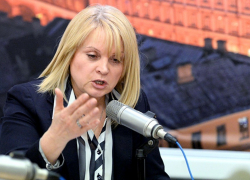 Глава ЦИК Элла Памфилова упрекнула воронежского губернатора в нерешительности