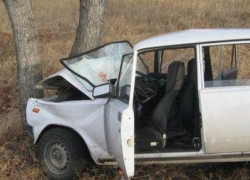 В Воронежской области «пятерка» вылетела в кювет и впечаталась в дерево