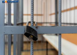 Пятерых мужчин заподозрили в похищении жителя Москвы в Воронеже 