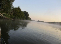 Труп женщины нашли в воронежской реке