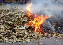 МЧС: смог в Воронеже  появился из-за сжигания листвы и мусора 