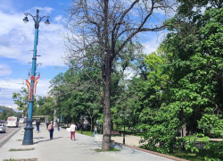 Как спасти Петровский сквер от уничтожения через злоустройство